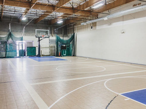 The Courts